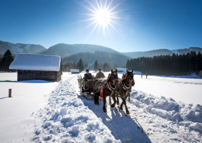 Pferdeschlitten im Winter durchs Bad Mitterndorfer Tal
