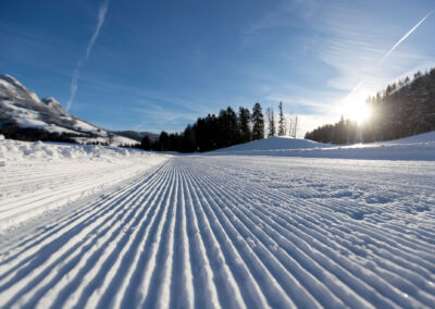 Winterlandschaft frisch gespurte Skating Loipe